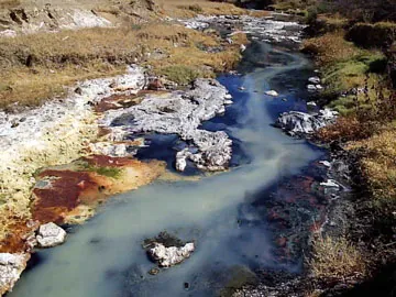 Our work with McCord Environmental