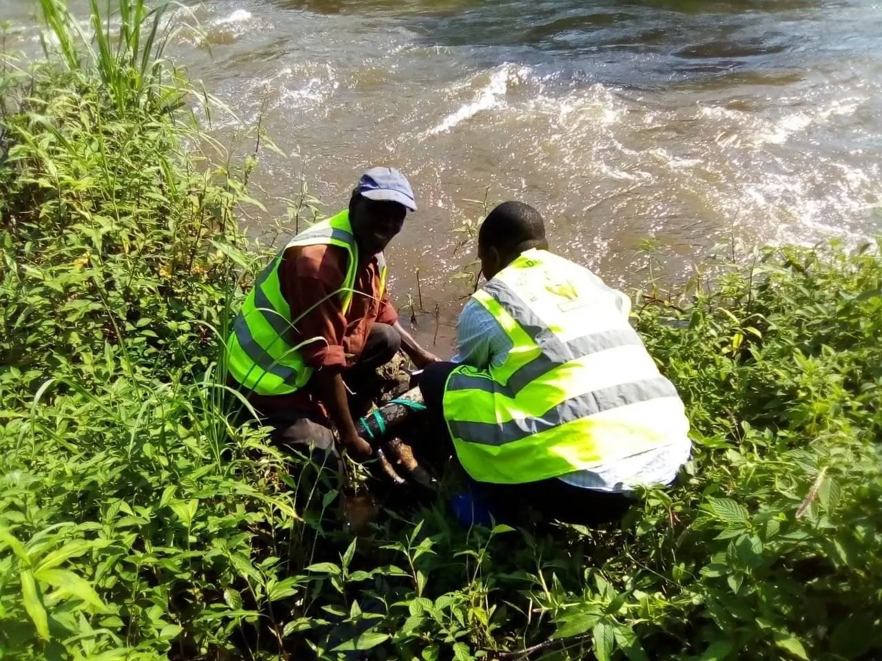 PALPER field staff inspect a river source