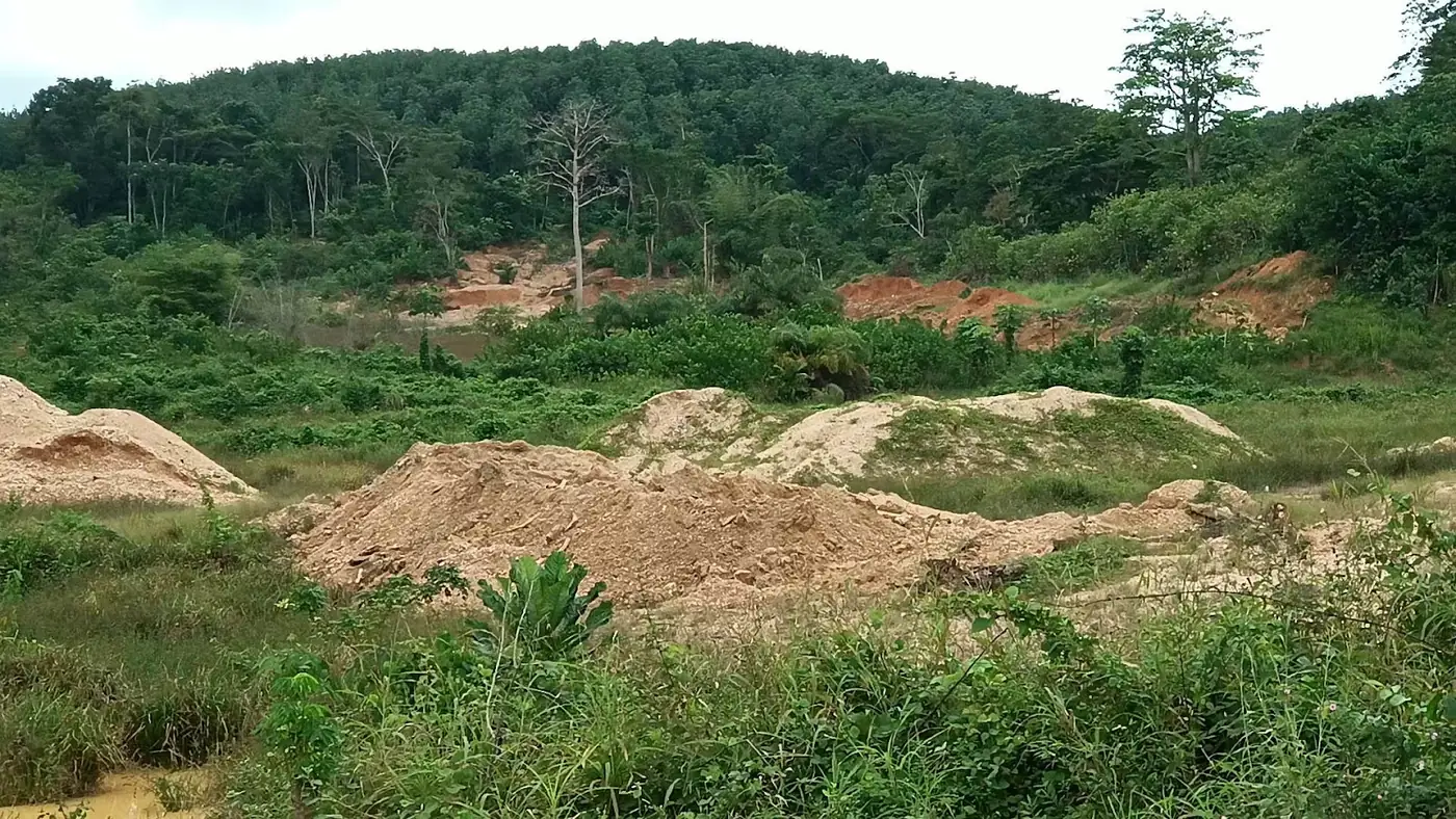 Mine tailings beside slowly regrowing forest
