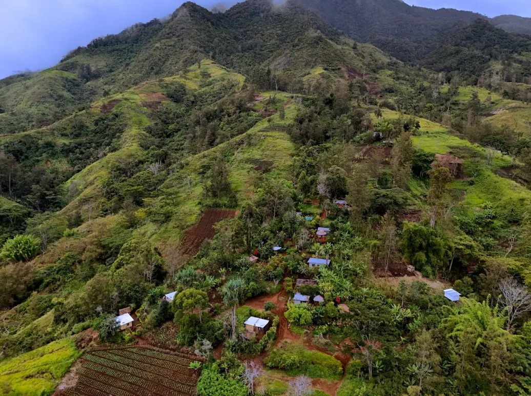 Green mountain ridges of the Eastern Highlands, Papua New Guinea
