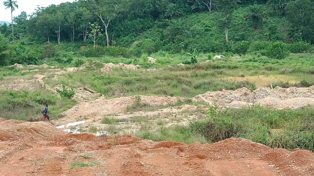 Land scarred and flooded by gold mining